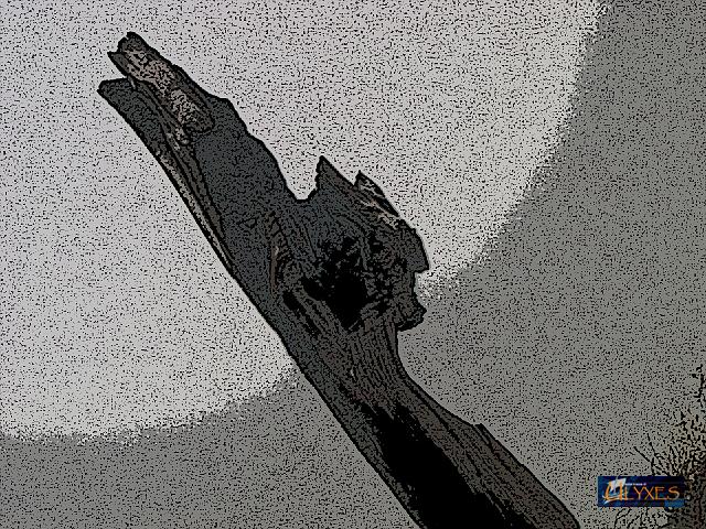 folletto birichino.JPG